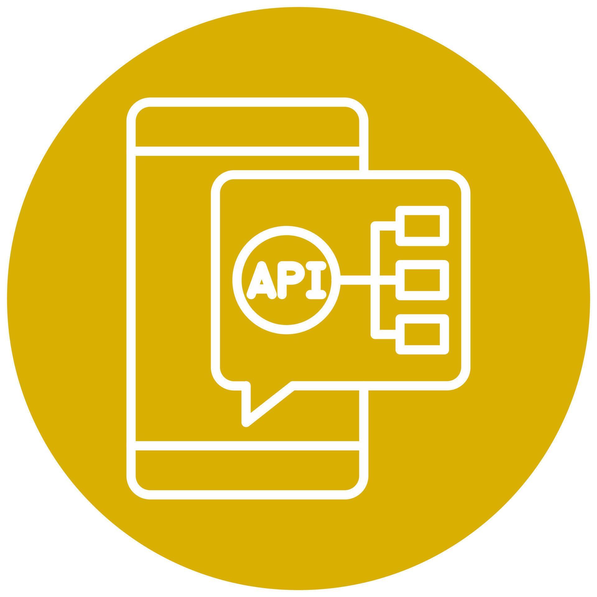 API Integration